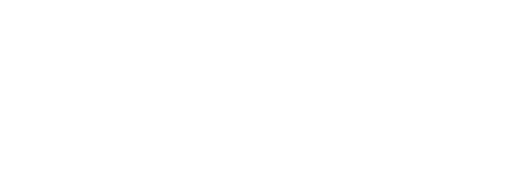 Cross-border ec today